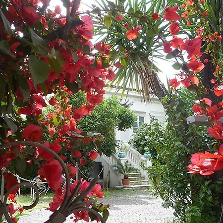 Palais La Nasse Pensionat Sanremo
