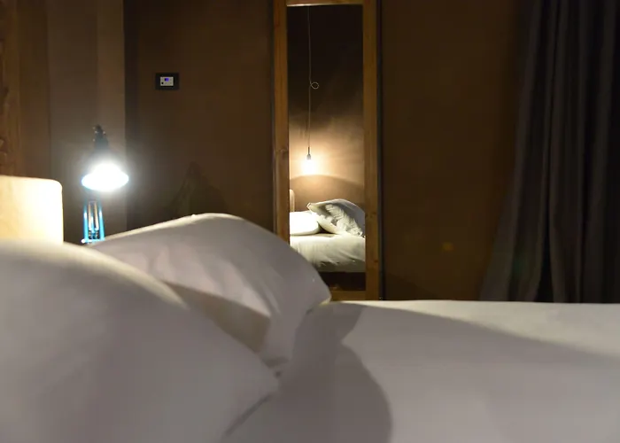 Palais La Nasse 4*