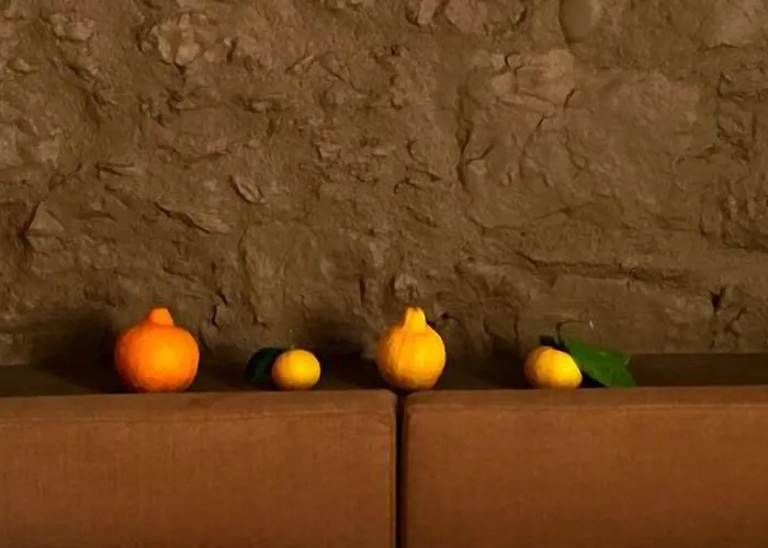 Palais La Nasse Casa de hóspedes