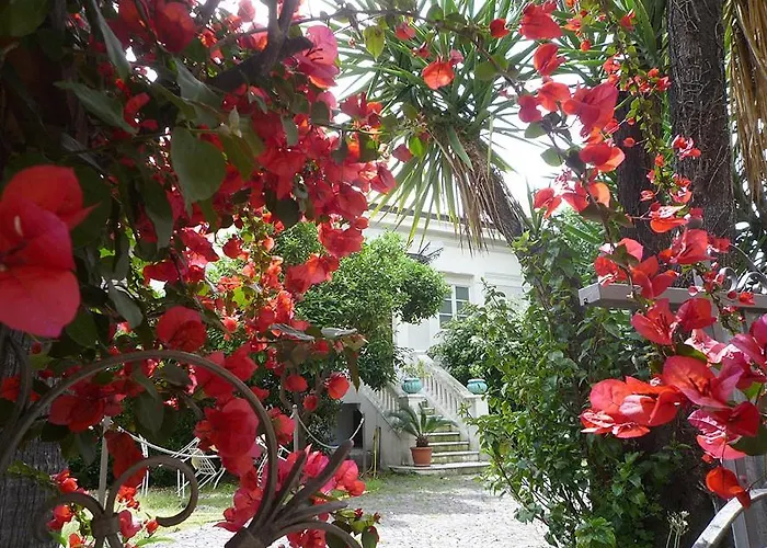 Palais La Nasse Casa de hóspedes Sanremo